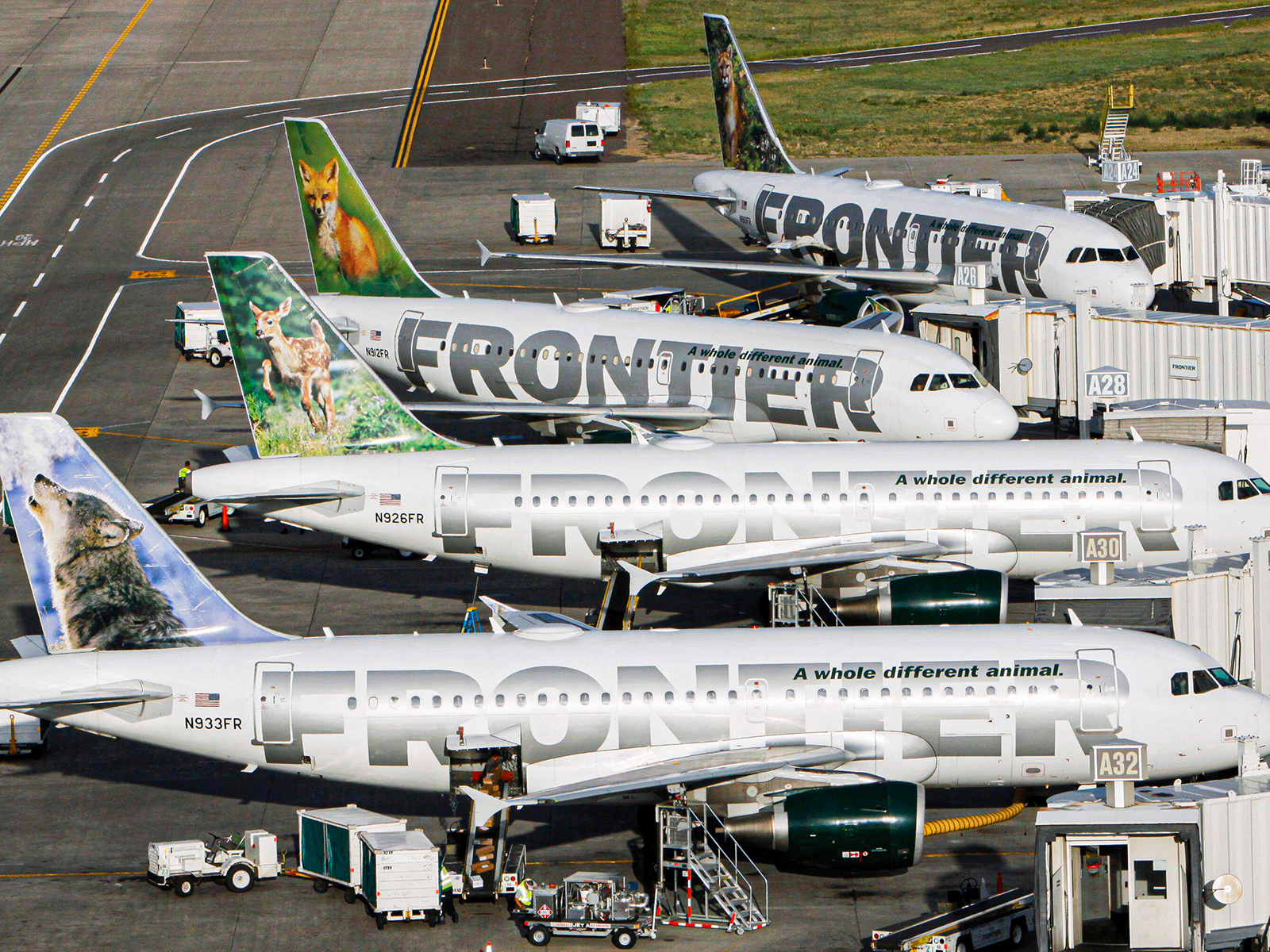 Frontier Airlines шинэ нэгдэл зарласны дараа бүх нислэгээ зогсоосон