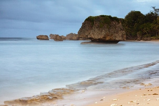 Barbados 1 Bild mit freundlicher Genehmigung von PublicDomainPictures von | eTurboNews | eTN