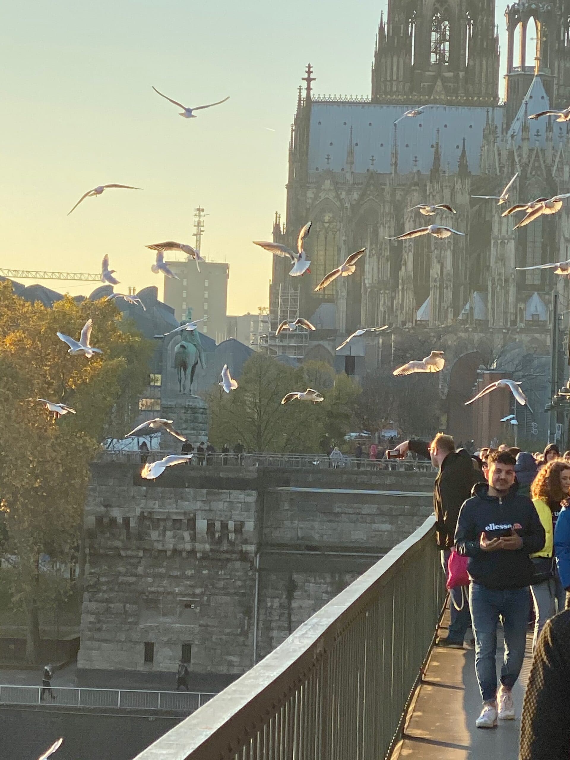 Brücke Köln