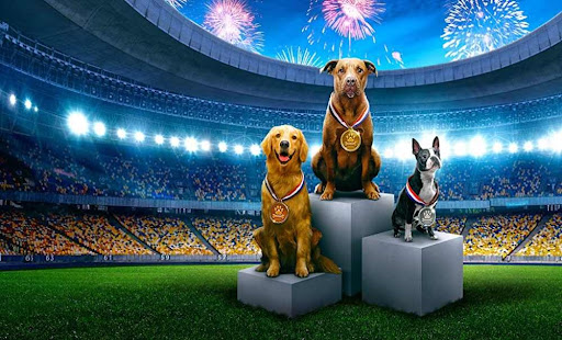 How to watch the Puppy Bowl 2022: Time, TV channel, FREE live stream (2/13/ 2022) 