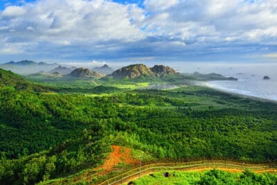 ಡಿಎಂಜೆಡ್