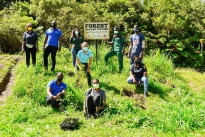 , Sandals Foundation Gearing Up to Celebrate 10,000 Trees Planted, eTurboNews | eTN