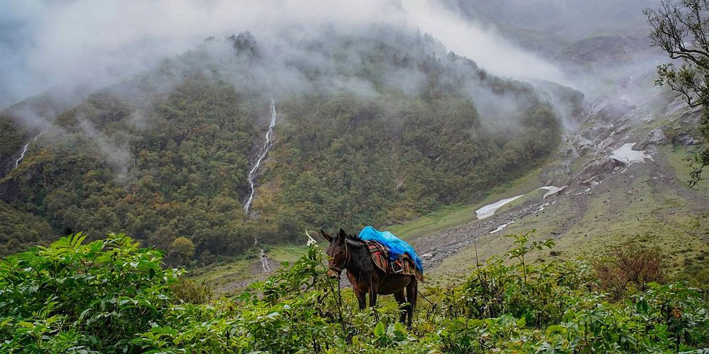 2 Yubeng Trail 1 | eTurboNews | eTN