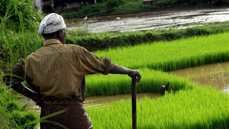 bilde med tillatelse av Nandhu Kumar fra | eTurboNews | eTN