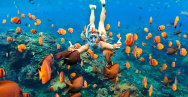 AS ana ing telung negara paling apik kanggo snorkeling ing donya