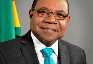 Hon. Minister Bartlett - billede udlånt af Jamaica Tourism Ministry