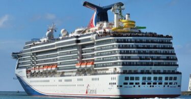 Carnival: COVID frena la relajación duplicó la actividad de reserva de cruceros