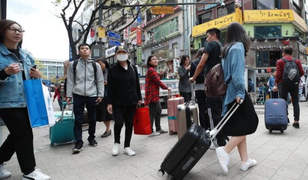 China's domestic tourism on track to recovery