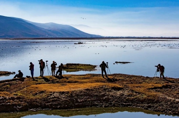 2 Napa Sea bird watchers | eTurboNews | eTN