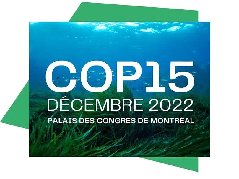 , WTTC, UNWTO, Sustainable Hospitality Alliance partner at COP15, eTurboNews | eTN
