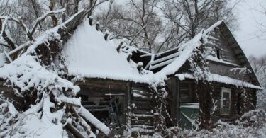 Russia Plans 'American Village' for 'Conservative' Western Expats