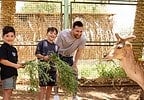 1 האכלה של בעלי חיים | eTurboNews | eTN