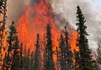 incendio forestal albertaa