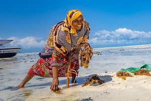 $54M Project to Create Youth Jobs in Zanzibar’s Blue Economy