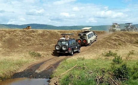 , Ανακαλύψτε τα Θαύματα της Τανζανίας: Ngorongoro Safari, eTurboNews | eTN