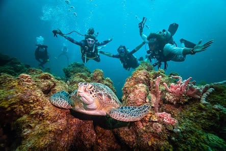 , Sandals Resorts Celebrates World Oceans Day with Donations, eTurboNews | eTN
