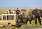 , Tanzaniya Hotuna Safaris, eTurboNews | eTN