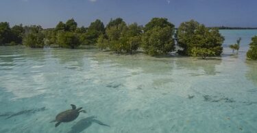 imaj koutwazi Seychelles Dept. of Tourism 1 | eTurboNews | eTN
