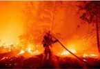 ，加那利群島總統：大規模特內里費島野火減緩， eTurboNews | 電子網