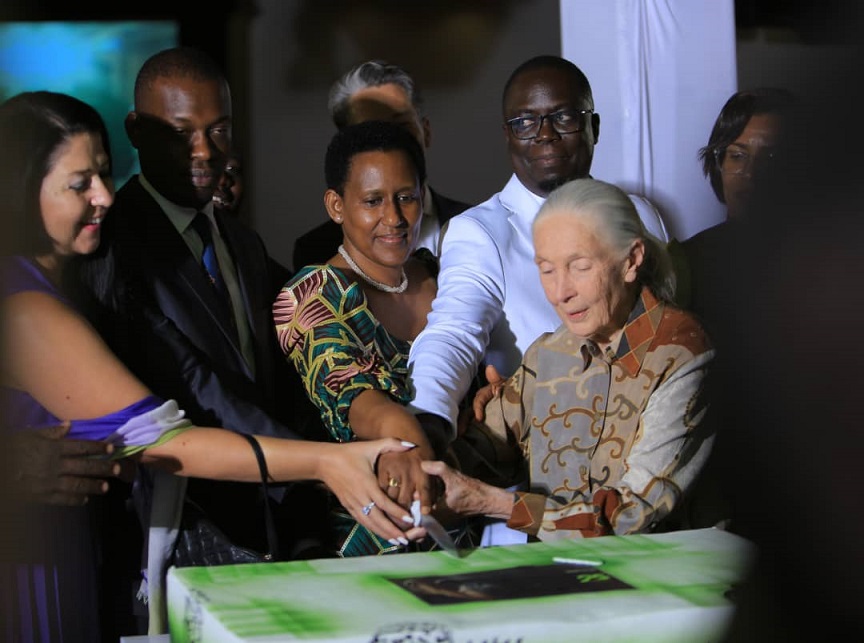 Dr. Jane Goodall,chimpanser, Dr. Jane Goodall vender tilbage til Chimpansehoots, eTurboNews | eTN