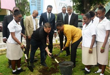 Jamaicas nationella trädplantering, 2.7 miljoner träd planterade under Jamaicas nationella trädplanteringsinitiativ, eTurboNews | eTN