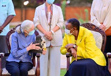 UGqr. Jane Goodall, iitshimpanzi, uGqr. Jane Goodall ubuyela kwi-Chimpanzee Hoots, eTurboNews | eTN