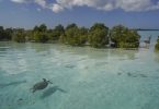 Сейшельские Острова, Действует сбор за экологическую устойчивость туризма на Сейшельских островах, eTurboNews | ЭТН