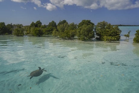 SEYCHELLES - image courtesy of Seychelles Dept. of Tourism