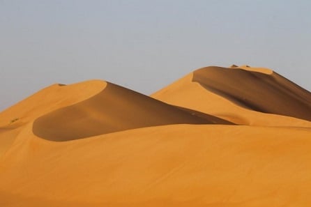 Uruq Bani Ma'arid Rezèv nan Arabi Saoudit, premye sit UNESCO Natirèl Eritaj Wayòm nan - koutwazi imaj nan National Center for Wildlife