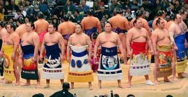 Japan Airlines Scrambles for Extra Plane to Fly Sumo Wrestlers