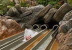 , Walt Disney World Water Slide Wedgie-ə görə 50 min dollar iddia etdi, eTurboNews | eTN