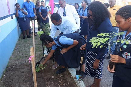 Засадување дрва на Јамајка - сликата е дадена од Министерството за туризам на Јамајка