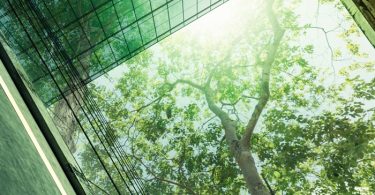 የዩኤን NetZero ተቋም የቱሪዝም የአየር ንብረት እርምጃ ፋይናንስን ያናውጣል