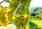 , UNWTO د اسپانیا په لا ریوجا کې د دوامداره شراب سیاحت پیښه، eTurboNews | eTN