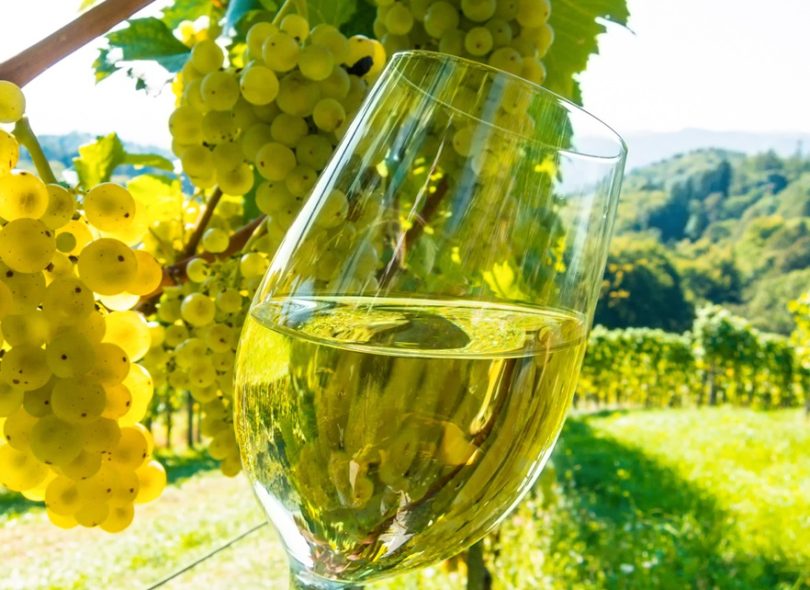 UNWTO Sustainable Wine Tourism Event sa La Rioja, Spain