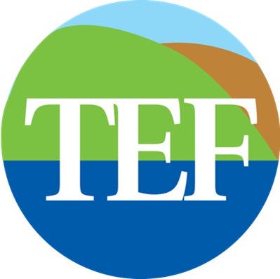 TEF