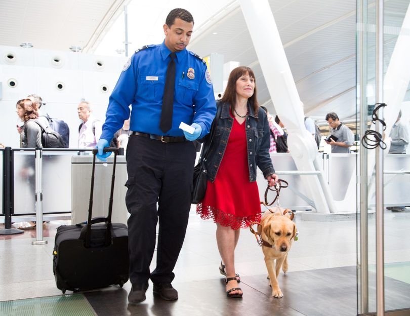 Stress-Free Travel With Service Dog