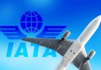 IATA: Global Air Travel Recovery fortsætter