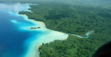 Turmoil in Lacandon Jungle Forces Tour Operators to Suspend Operations