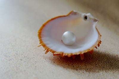 pearl - image courtesy of günter from Pixabay