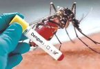 Izbijanje denge prijeti turizmu u Tajlandu