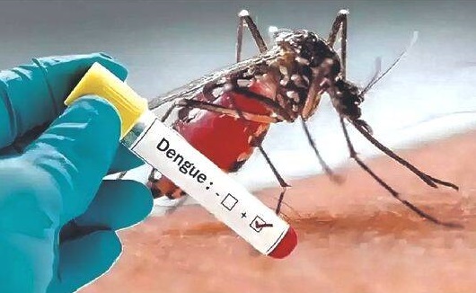 Dilaaca Dengue Oo Khatarta Dalxiiska Thailand