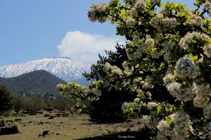 Etna dağı