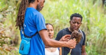 gambar milik Departemen Pariwisata Seychelles