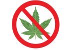 德国火车站禁止吸食大麻