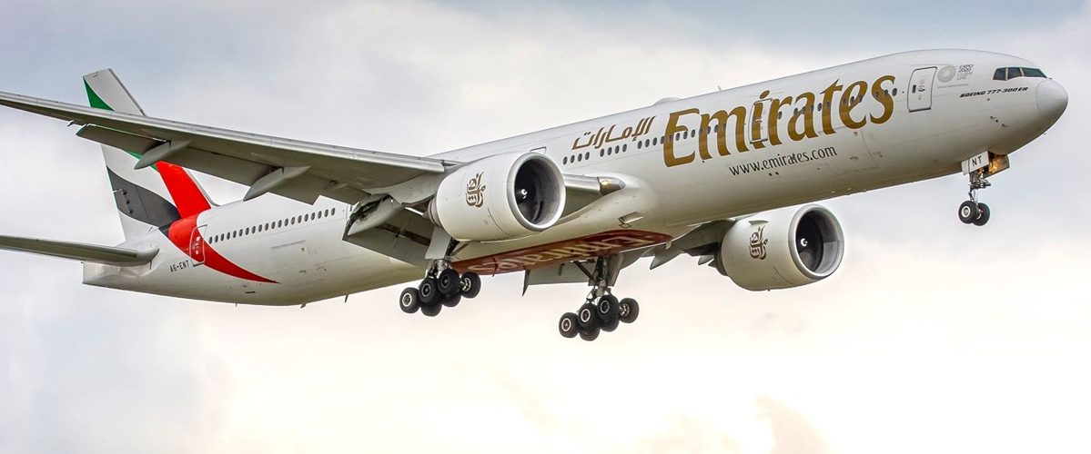 Emirates Boeing 777 Kills 36 Flamingos over Mumbai