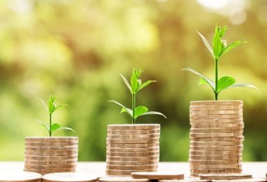 el dinero crece - imagen cortesía de Nattanan Kanchanaprat de Pixabay