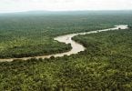 UNESCO: Senegal’s Niokolo Koba National Park No Longer Endangered