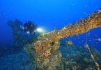 HMS Nasturtium gun Sponge growth © John Wood, Heritage Malta - image courtesy of Malta Tourism Authority