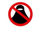 $1,141 Fine: Swiss Burqa Ban Goes in Effect January 1, 2025